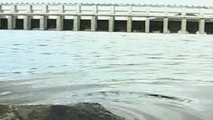 Information about goddess jonnawada sri kamakshi tai temple history in nellore city